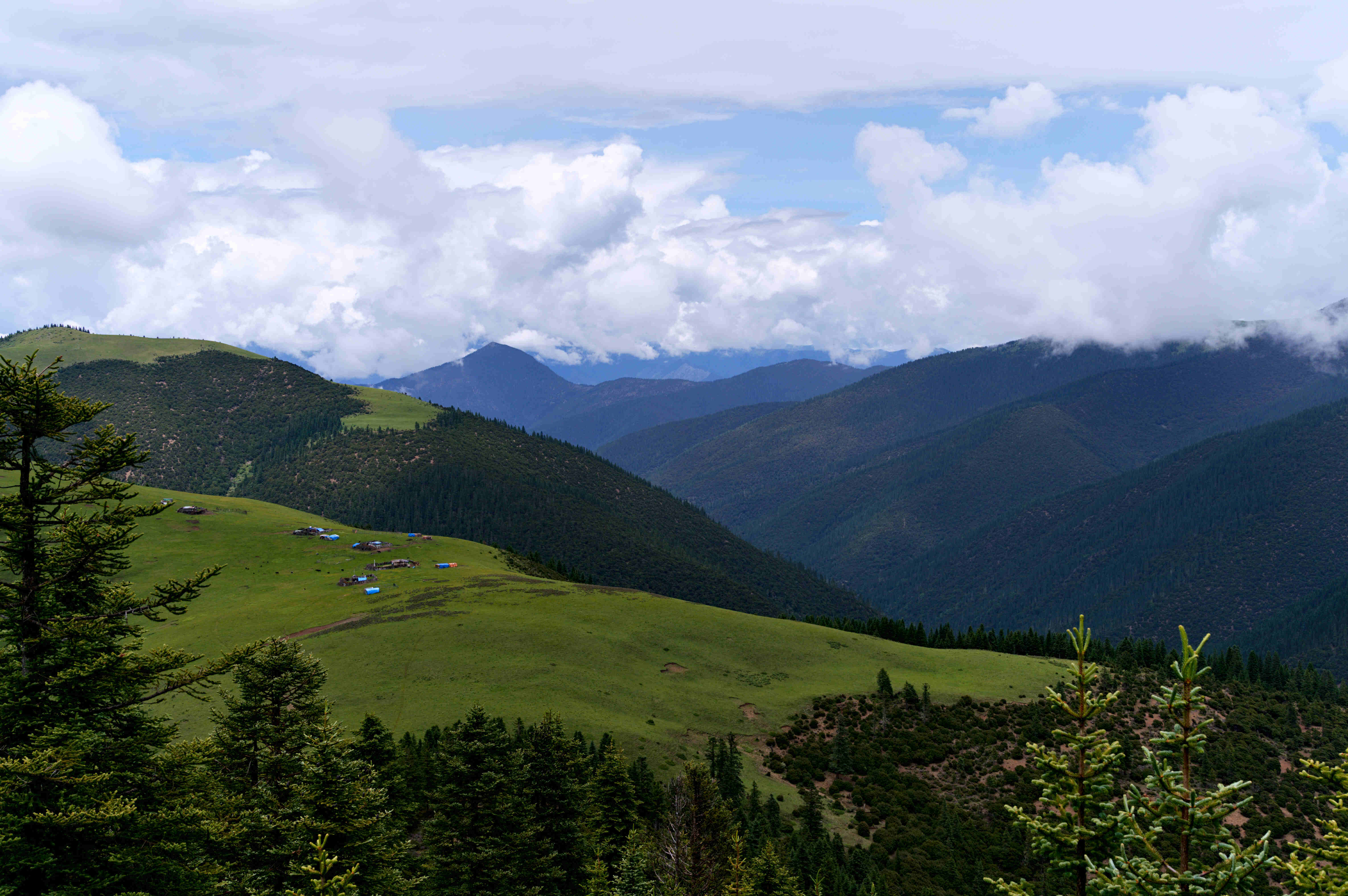 高山草场